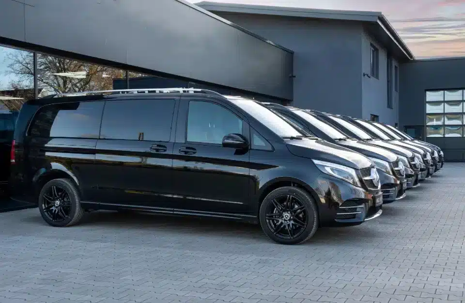 Istanbul Private Transfer — photo 5