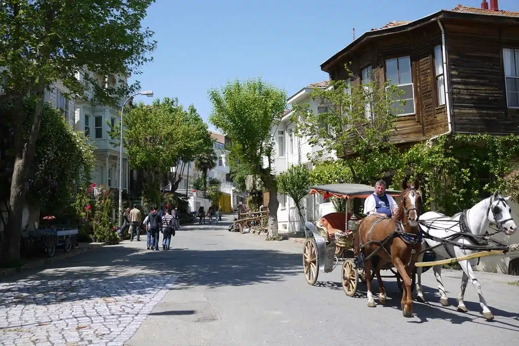 Princes' Islands Tour Istanbul – Day Trip Experience — photo 5