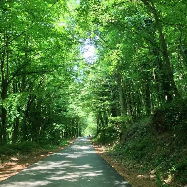 Princes' Islands Day Tour: Kinaliada, Burgazada & Buyukada