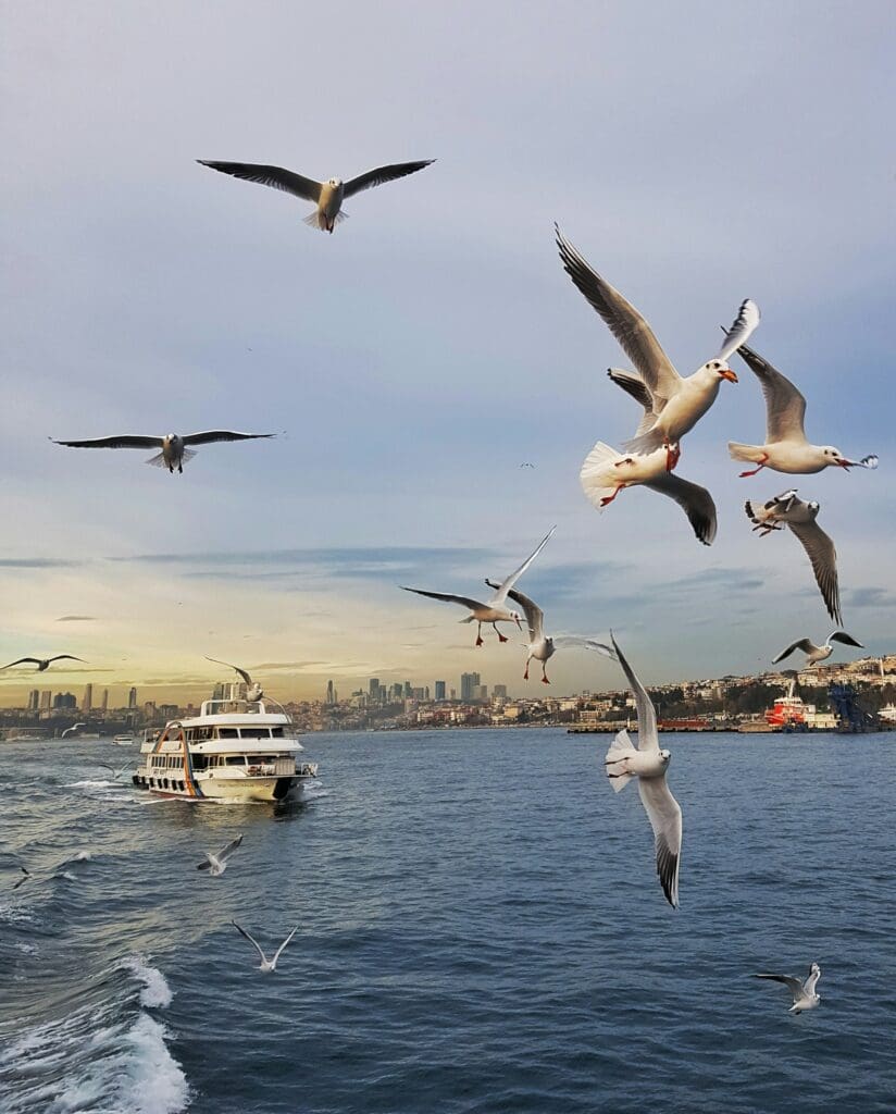 bosphorus cruise